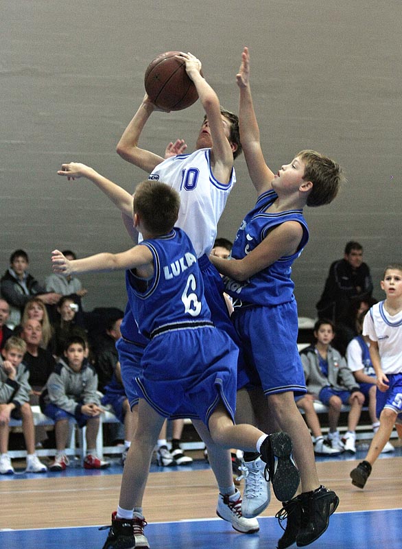 Image 1093997 (auto)