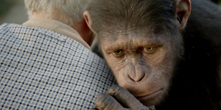 Planet majmuna: Postanak