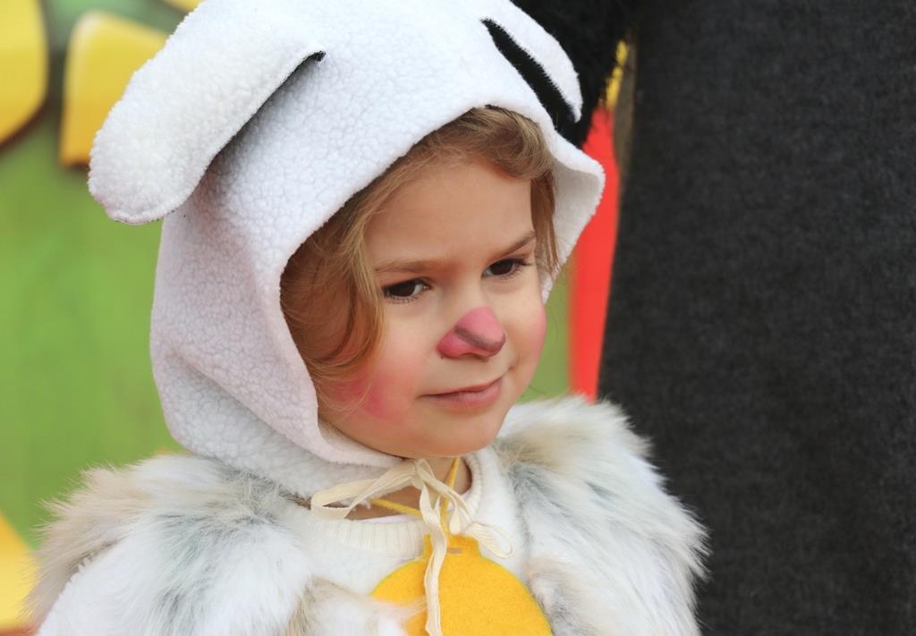 Virski Karnevalić 2017.