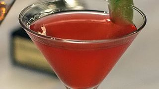 Havana Cup 2009. – 15. regionalno natjecanje barmena (foto: Marin Gospić)