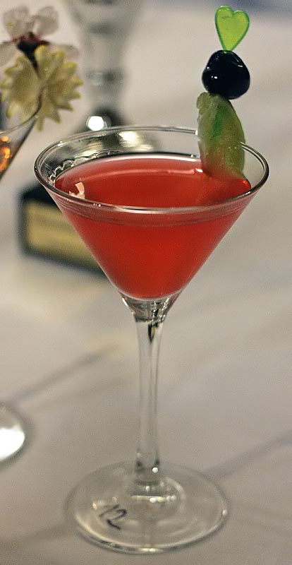 Havana Cup 2009. – 15. regionalno natjecanje barmena (foto: Marin Gospić)