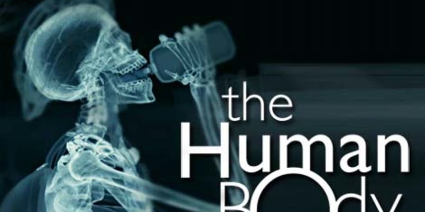 Ljudsko tijelo Ljudsko tijelo