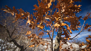 Đir do Libinja 9. travnja 2012. (foto:Saša Čuka) Đir do Libinja 9. travnja 2012. (foto:Saša Čuka)