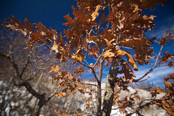 Đir do Libinja 9. travnja 2012. (foto:Saša Čuka) Đir do Libinja 9. travnja 2012. (foto:Saša Čuka)