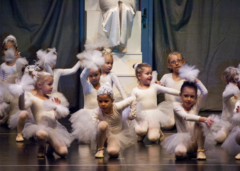 HNK Zadar: HNK Zadar: