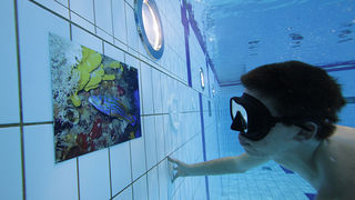 SC Višnjik: Podvodna izložba ronilačkog kluba “Roko” SC Višnjik: Podvodna izložba ronilačkog kluba “Roko”