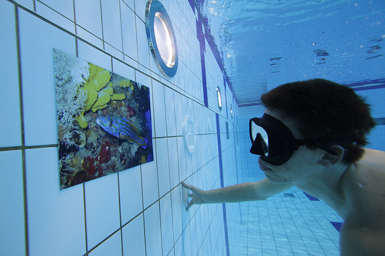 SC Višnjik: Podvodna izložba ronilačkog kluba “Roko” SC Višnjik: Podvodna izložba ronilačkog kluba “Roko”