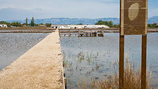Solana Nin, berba soli, foto: Leo Banić