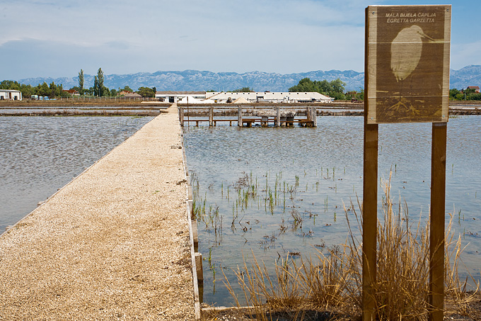 Solana Nin, berba soli, foto: Leo Banić