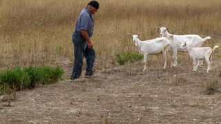 Djir po Arbanasima: Od Fontane do Punte Bajlo, Foto: Bernard Kotlar