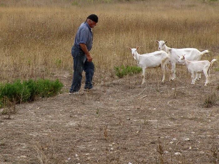 Djir po Arbanasima: Od Fontane do Punte Bajlo, Foto: Bernard Kotlar