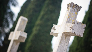 Gradsko groblje uoči blagdana Svih svetih (foto:Saša Čuka) Gradsko groblje uoči blagdana Svih svetih (foto:Saša Čuka)