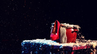 Žene – Svestranost