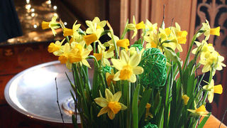 Stockholm (foto: Antonija Gospić)