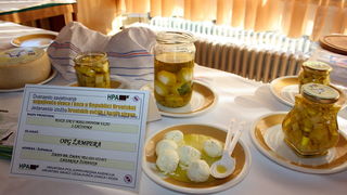 11. Izložba ovčjih i kozjih sireva, Foto: Mladen Malik