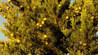 Bonaca na Punta Skali Bonaca na Punta Skali