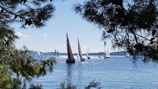 Zadarska Koka 2016. 22. listopada 2016. Foto: Mladen Malik Zadarska Koka 2016. 22. listopada 2016. Foto: Mladen Malik