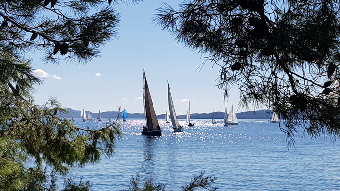 Zadarska Koka 2016. 22. listopada 2016. Foto: Mladen Malik Zadarska Koka 2016. 22. listopada 2016. Foto: Mladen Malik