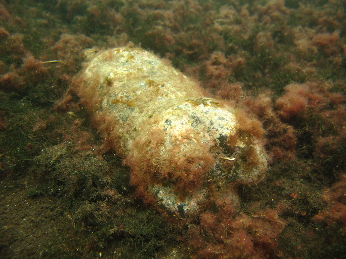 Biograd na Moru: Akcija ciscenja podmorja u uvali Jaz “Cistimo zajedno”