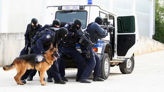 Zadar, 280912.
U sjedistu Policijske uprave zadarske u Centru Franko Lisica u Zadru, odrzala se svecana proslava Dana policije. Uz govor novog nacelnika PU zadarske Nevena Paskalina odrzana je i pokazna vjezba zadarskih specijalaca.
Na fotografiji: pokazn Zadar, 280912.
U sjedistu Policijske uprave zadarske u Centru Franko Lisica u Zadru, odrzala se svecana proslava Dana policije. Uz govor novog nacelnika PU zadarske Nevena Paskalina odrzana je i pokazna vjezba zadarskih specijalaca.
Na fotografiji: pokazn