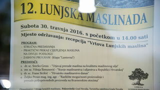 U Vrtovima lunjskih maslina održana 12. Lunjska maslinada. Foto: Vinko Pešić
