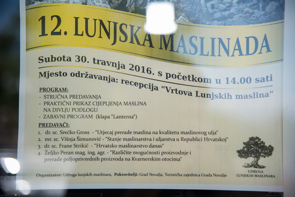 U Vrtovima lunjskih maslina održana 12. Lunjska maslinada. Foto: Vinko Pešić