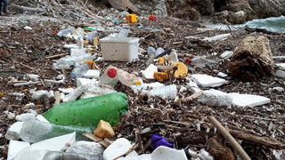 Mljet: Nasukana morska sirena Mljet: Nasukana morska sirena