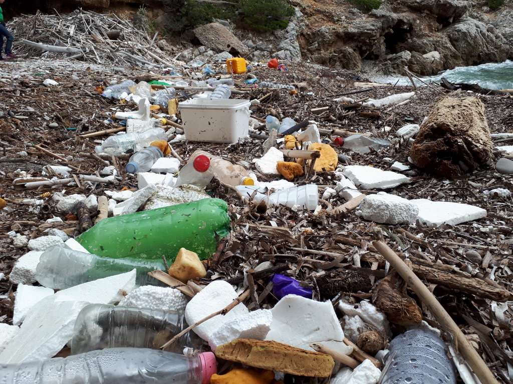 Mljet: Nasukana morska sirena Mljet: Nasukana morska sirena