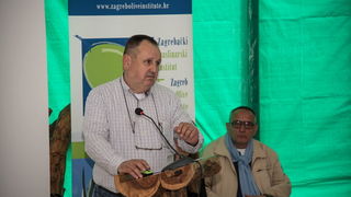 U Vrtovima lunjskih maslina održana 12. Lunjska maslinada. Foto: Vinko Pešić