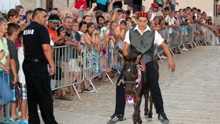 U Tribunju su održane 49. po redu magareće trke na kojima je sudjelovalo 12 jahača, a pobjedu je odnio Roko Popov na magarcu Renault 4. Photo: Duško Jaramaz/PIXSELL U Tribunju su održane 49. po redu magareće trke na kojima je sudjelovalo 12 jahača, a pobjedu je odnio Roko Popov na magarcu Renault 4. Photo: Duško Jaramaz/PIXSELL