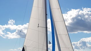 Zadarska Koka 2016. 22. listopada 2016. Foto: Mladen Malik Zadarska Koka 2016. 22. listopada 2016. Foto: Mladen Malik