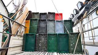 Ribarice u zadarskoj luci, Foto: Leo Banić