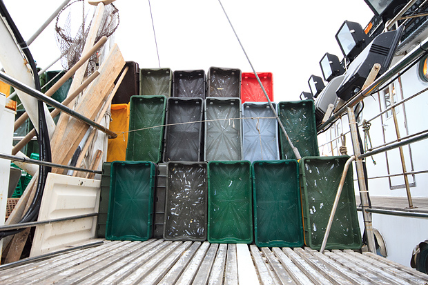 Ribarice u zadarskoj luci, Foto: Leo Banić