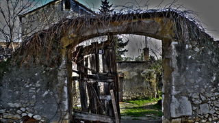 OLYMPUS DIGITAL CAMERA OLYMPUS DIGITAL CAMERA