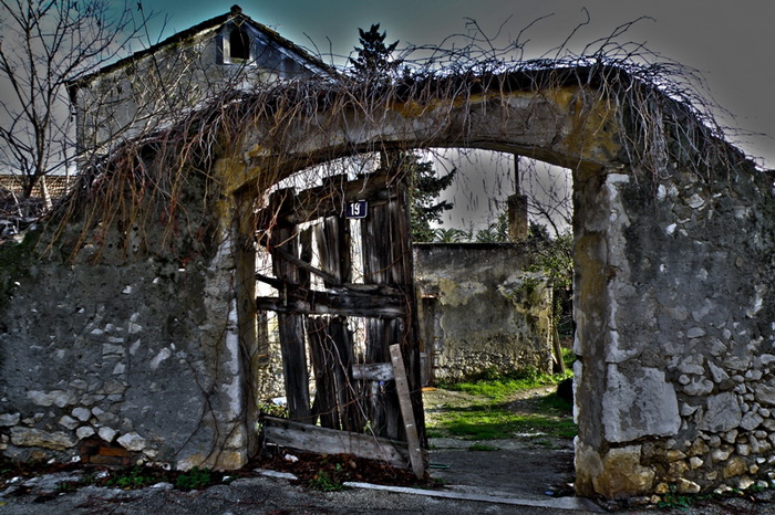 OLYMPUS DIGITAL CAMERA OLYMPUS DIGITAL CAMERA