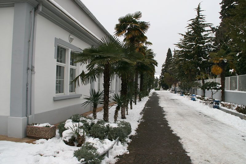 Snježni đir oko Gradske knjižnice Zadar, Foto: Lucija Juravić Snježni đir oko Gradske knjižnice Zadar, Foto: Lucija Juravić