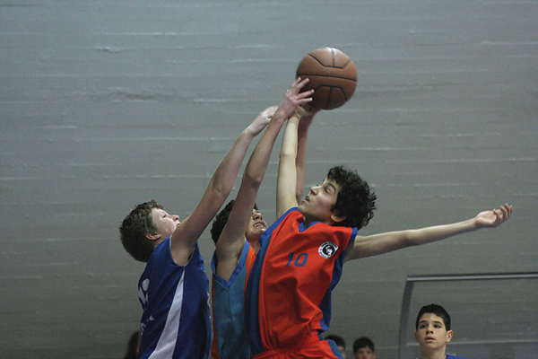 Image 1034441 (auto)