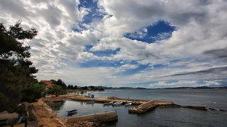 Labudovi u Bibinjama 12. svibnja 2013.  Foto: Roberto Lerga