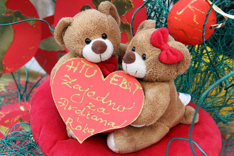 Dan volontera u Zadru Dan volontera u Zadru