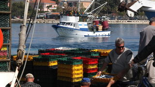 Zadar, 290312.
Proteklih dana lijepo vrijeme posluzilo je ribarima. 
Na fotografiji: ribari iskrcavaju frisku ribu na Liburnijskoj obali u Zadru.
Foto: Andrija Lucic /  Cropix