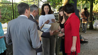 Image 1141257 (auto)