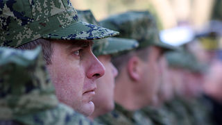 Image 1040169 (auto)