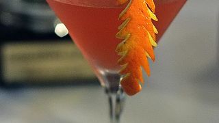 Havana Cup 2009. – 15. regionalno natjecanje barmena (foto: Marin Gospić)