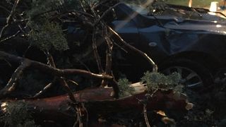 Posljedice grmljavinske nevere koja je poharala Zadar