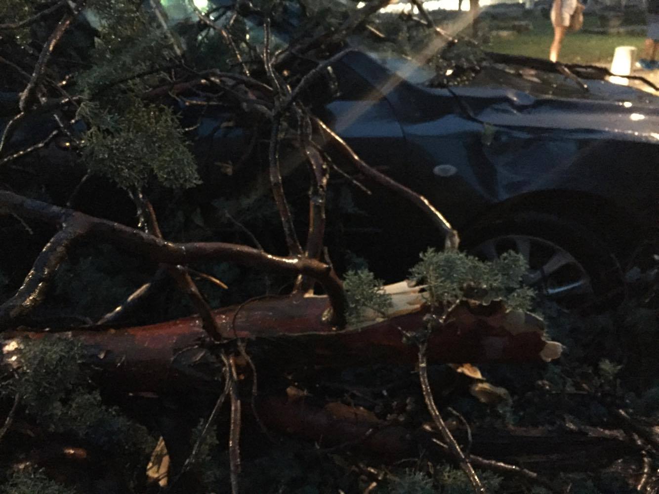 Posljedice grmljavinske nevere koja je poharala Zadar