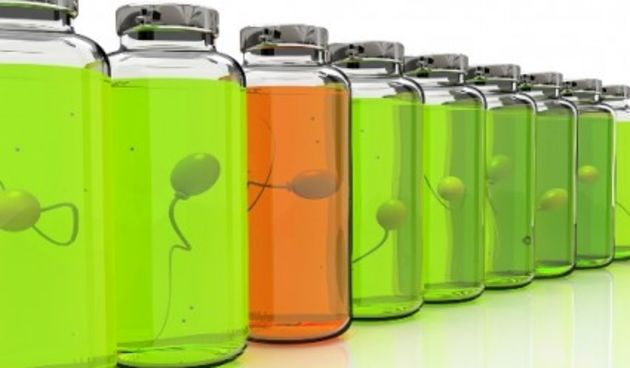 Sperm bank (Metro-portal.hr)