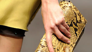 Torbice za proljeće 2010.