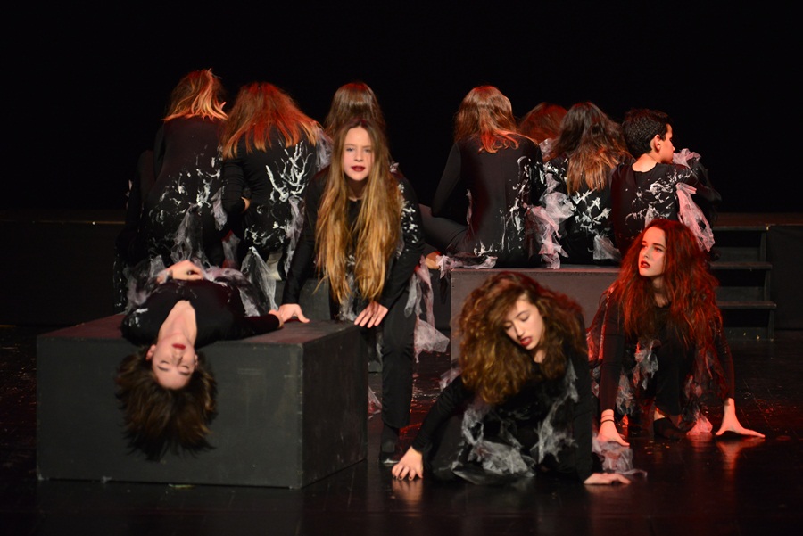 Premijera predstave “U sjeni” udruge “Igrajmo se” Premijera predstave “U sjeni” udruge “Igrajmo se”