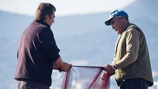 Ribar krpa mrižu svoju (foto:Saša Čuka) Ribar krpa mrižu svoju (foto:Saša Čuka)