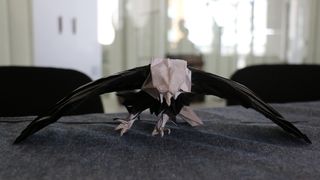 Origami radionica tijekom TSWF privukla je veliku pozornost mladih Origami radionica tijekom TSWF privukla je veliku pozornost mladih